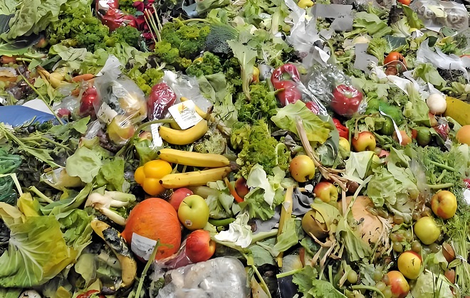 Fruit and Vegetable Waste