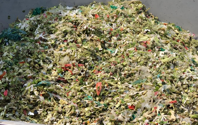 Fruit and Vegetable Waste