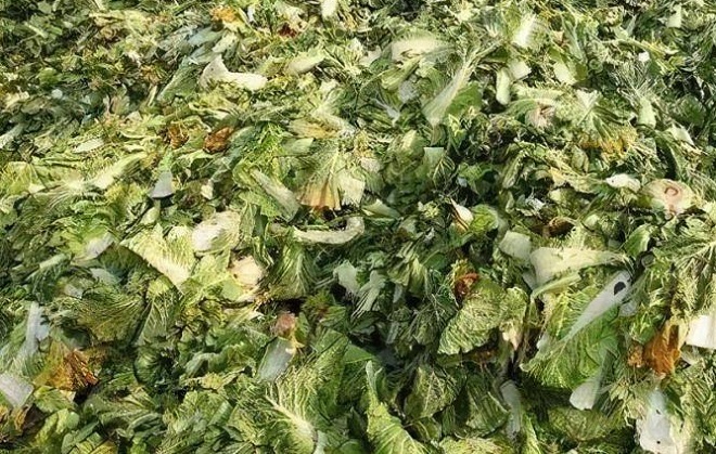 Vegetable Waste